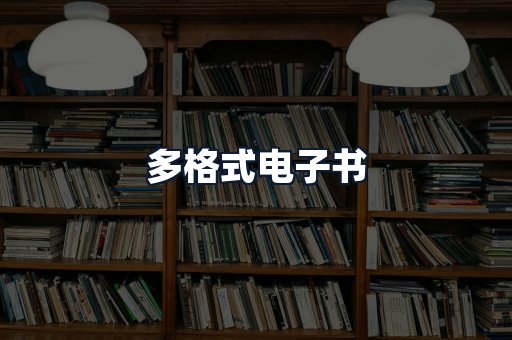 多格式电子书